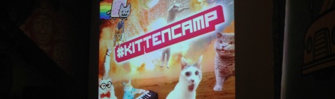 Kitten Camp